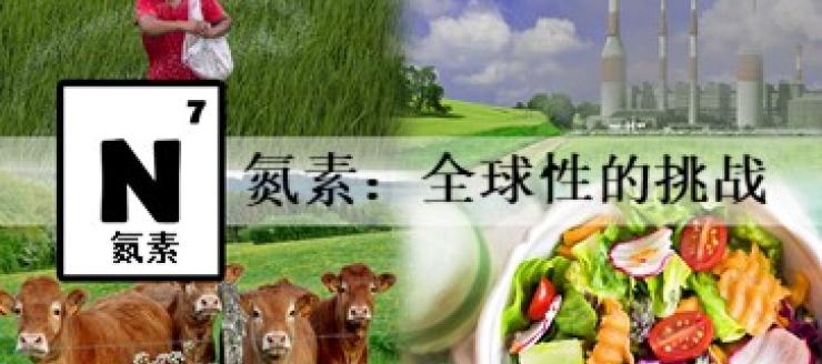 Nitrogen chemical symbol, cows, a salad, a factory and someone planting seeds.
