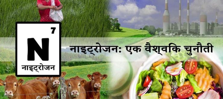 Cows, a salad, a factory and someone planting seeds. Text in hindi