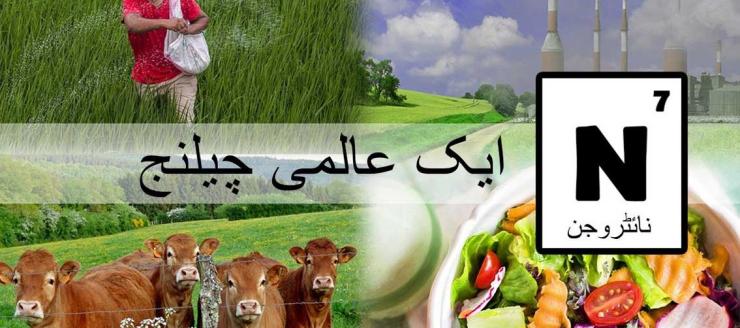 Cows, a salad, a factory and someone planting seeds. Text in urdu